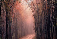 亿万28体育：韩悦力克大堀彩 中国女单包揽世界羽联总决赛冠亚军.