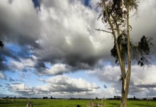 亿万28体育:十五运会U18女篮资格赛A组收官:鲁、陕两队晋级决赛阶段中国新闻网.