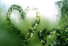 Shams:杜兰特将伤停至少一周确认缺席三连客,太阳无他2胜11负.