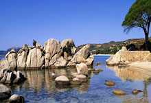 青岛西海岸队官宣何小珂等11名球员加盟.